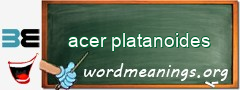WordMeaning blackboard for acer platanoides